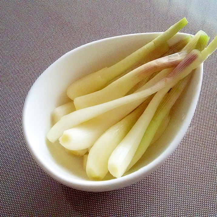 エシャロットの塩漬け レシピ 作り方 By Aoi 楽天レシピ エシャロットの塩漬け レシピ 作り方 By Aoi 楽天レシピ